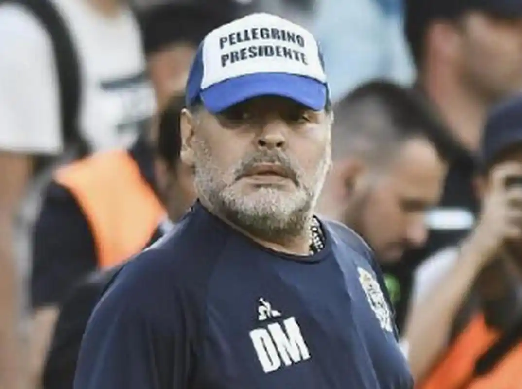 广袤的芒草 广袤的芒草